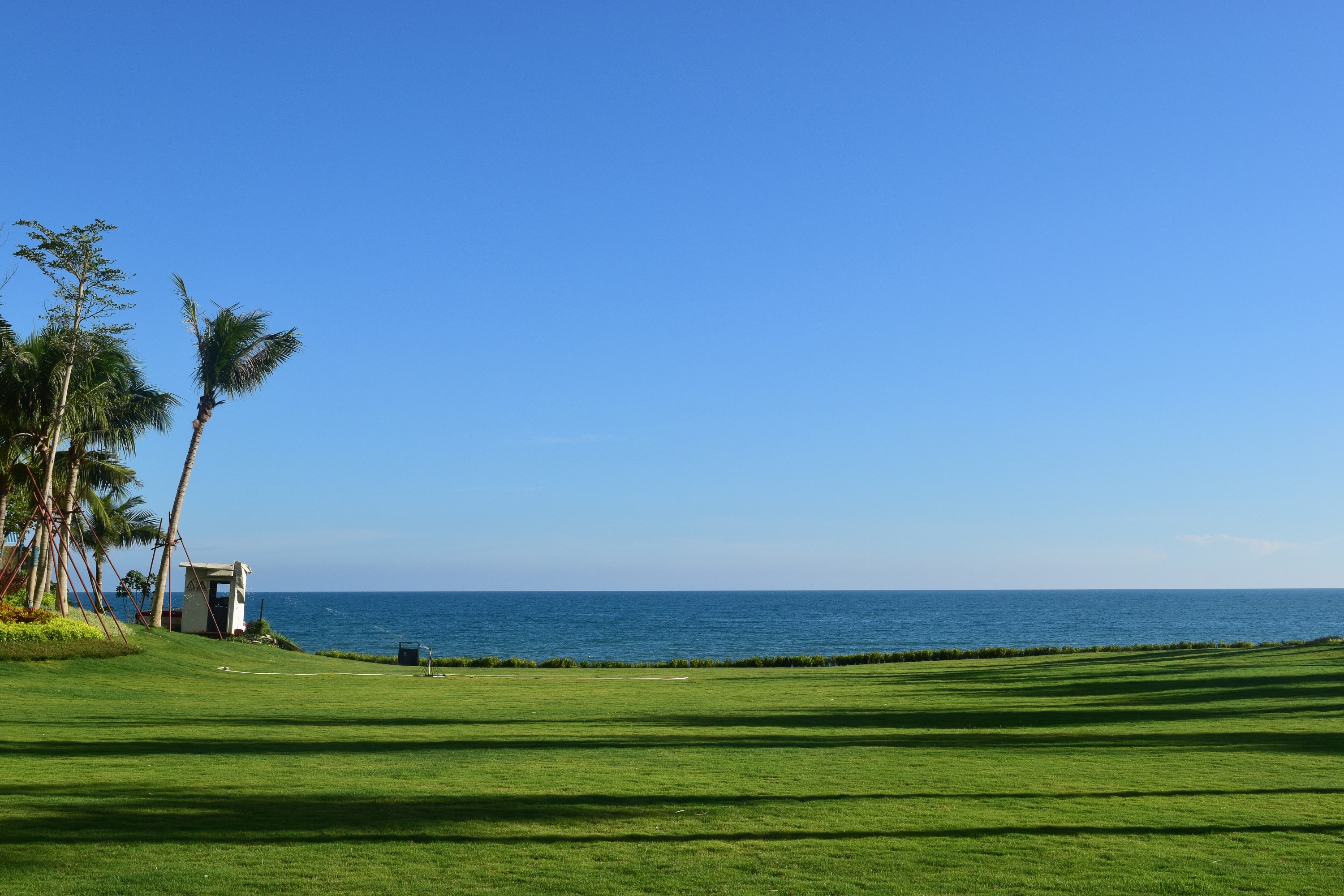 1519366428209048p696.jpg 8 (5).JPG