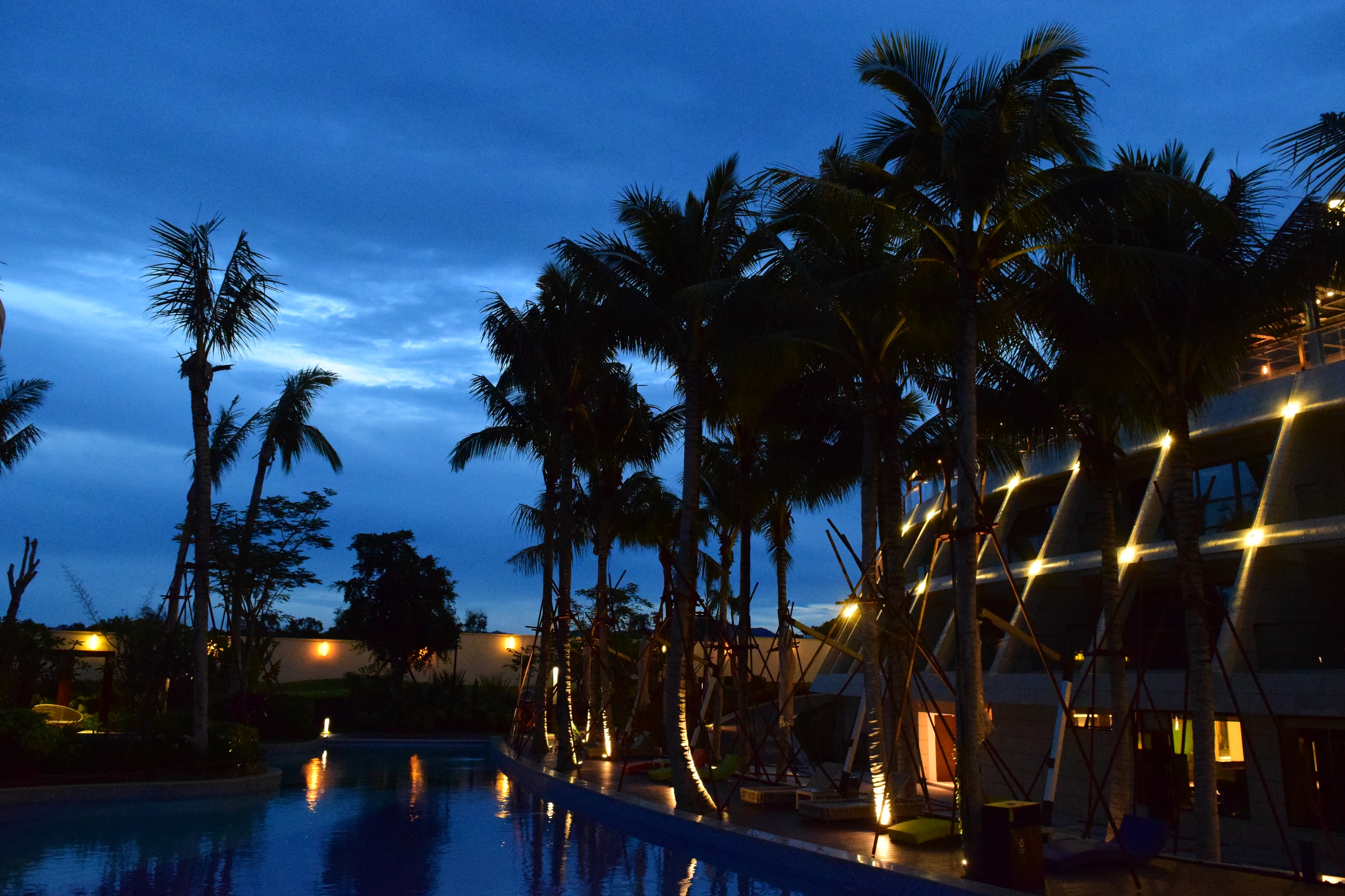 1519366616132288E593.jpg 8 (25).JPG